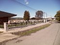 SAM_1382 SAM_1382